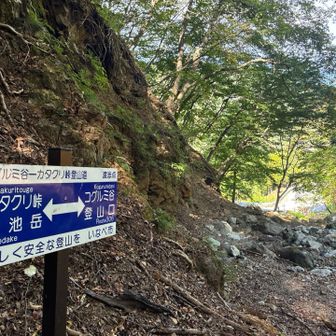 出口が見えてきました♪