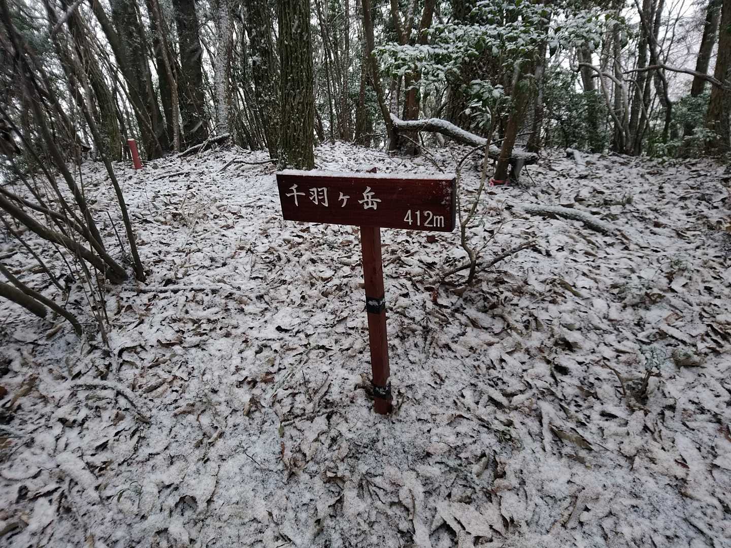 ここが千羽ヶ岳の山頂😄
でも三角点はもう少し先にあるようです👀