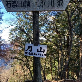 眺望はなっしー