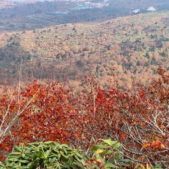歩き始めるとガスが抜ける🍁
こんな日もある😁
