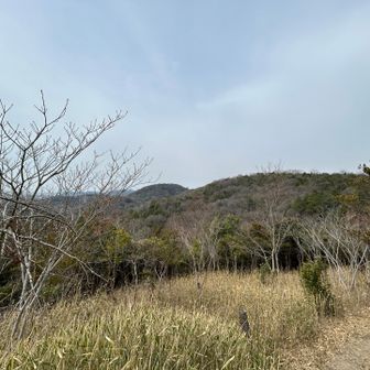 軽いアップダウンが続きます
