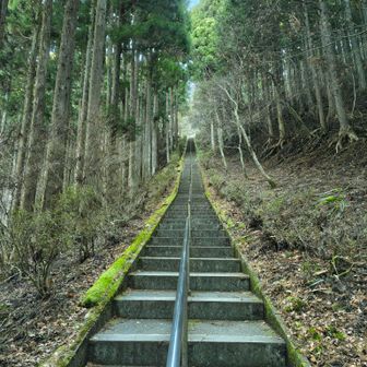 神社への階段