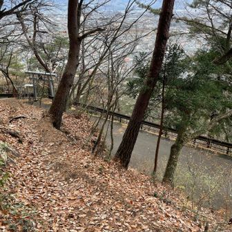 舗装路と合流点