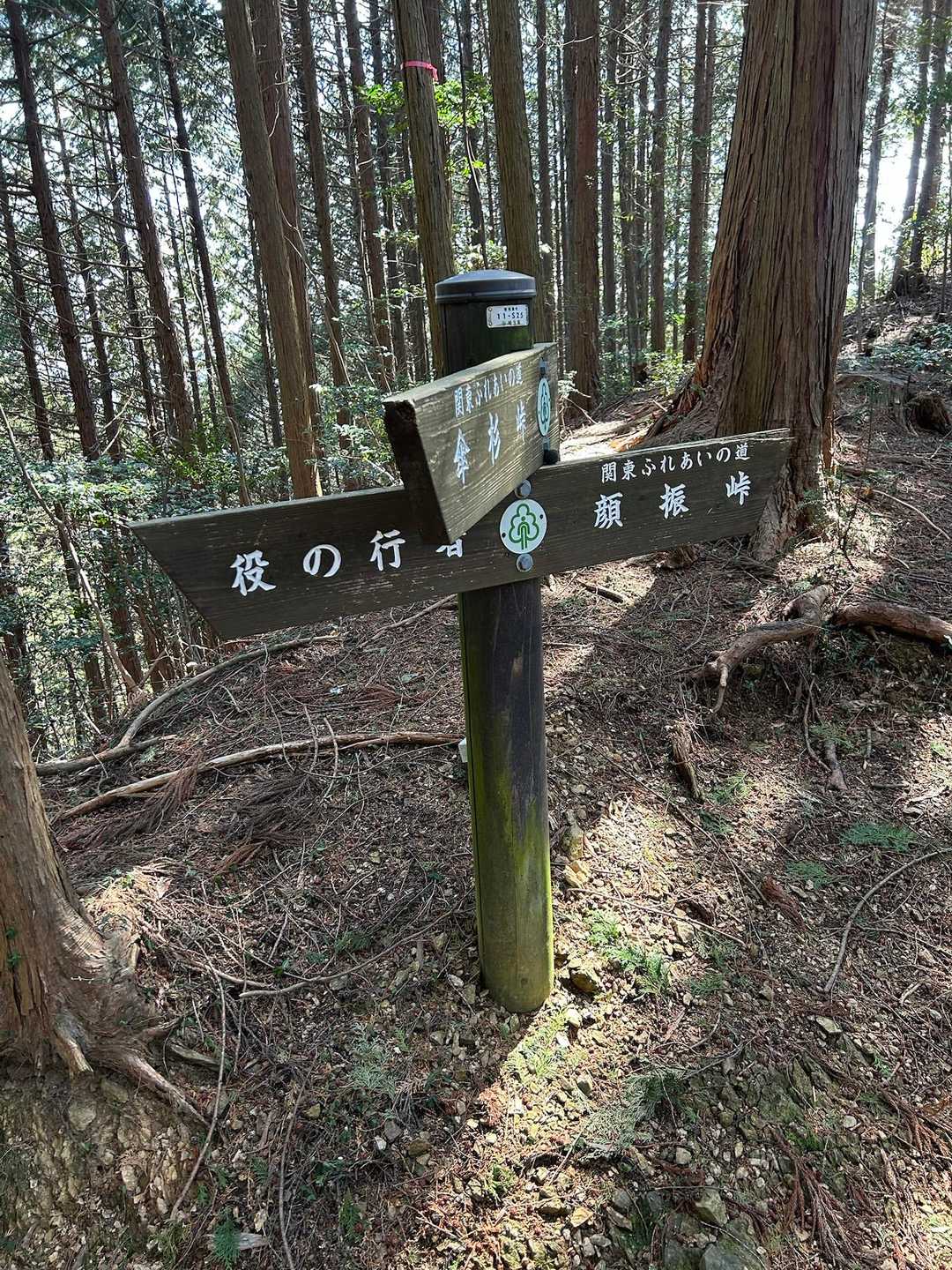 この分岐まで来ると顔振峠までもう少しです。