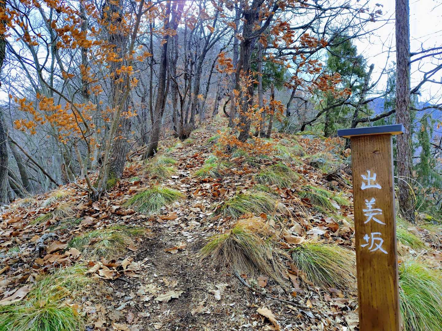 おぉ、坂に名前がついてる。
出美坂・・デヴィ坂？でござーますのよっ！