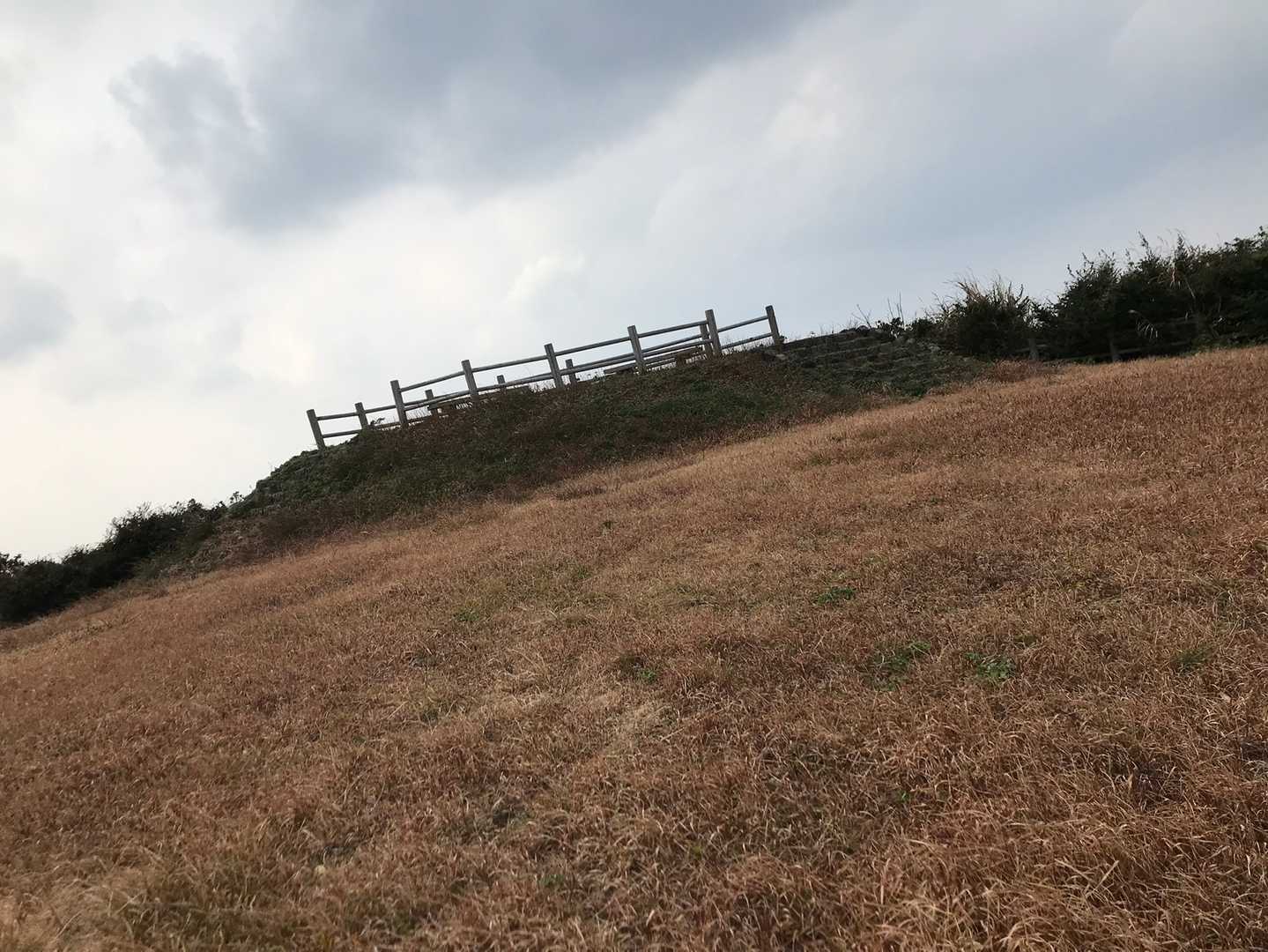 いや、ここより小高いピークが見える。あれだな。女岳山頂。
きっと山頂。
山頂標識もなんもなかった。探す時間も不安。船に乗り遅れたらジェットフォイルにも乗れんくなる。