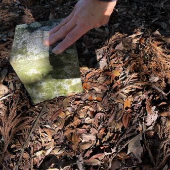 三等三角点

点名　藤原山

なんで？って思いますね