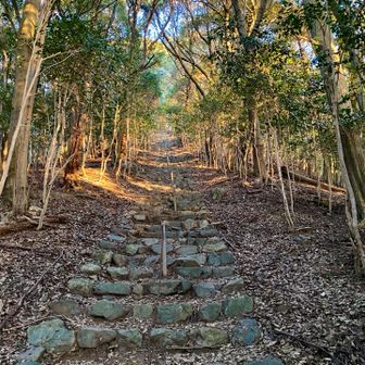 いきなりの急登。