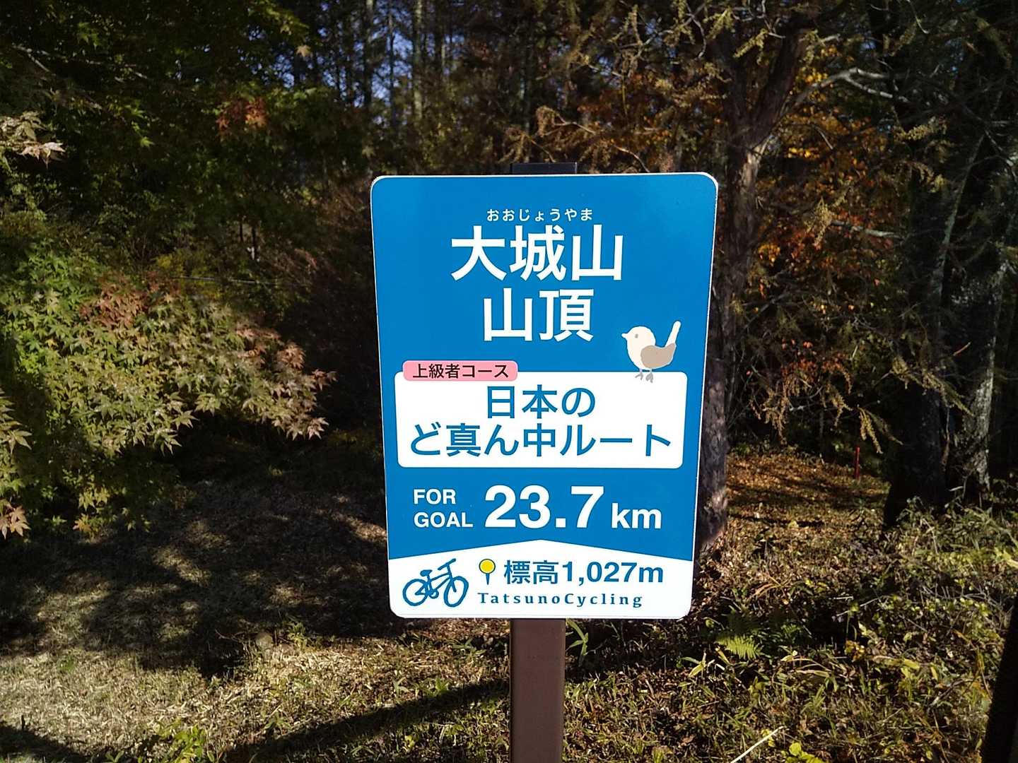 頂上は日本のど真ん中ハイキングコース