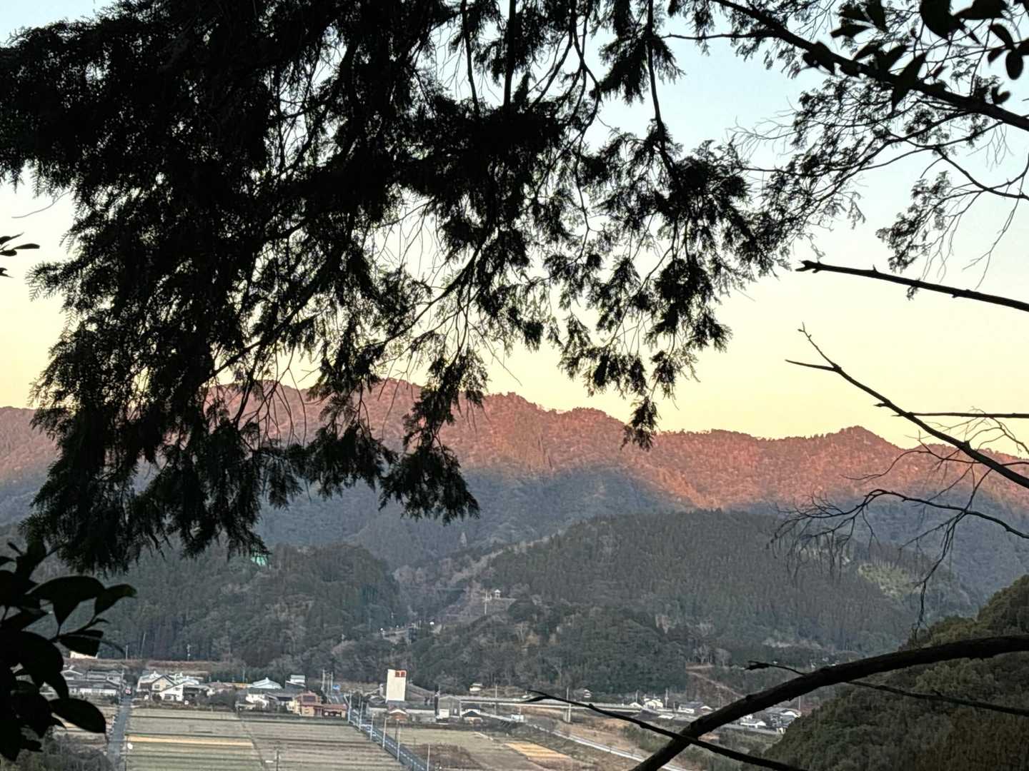 龍王山 往復コースの写真