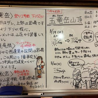 手書き情報