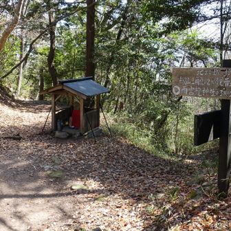 大きな分岐点。
山頂への道を行けば一本みちです。きついわ！