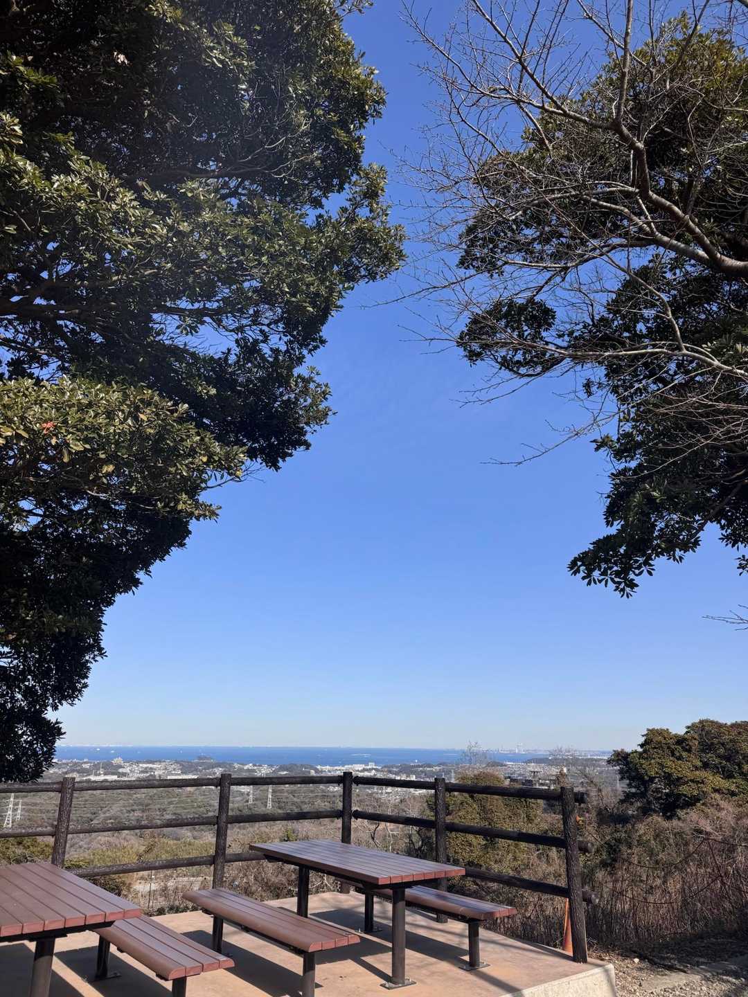 武山の展望台。