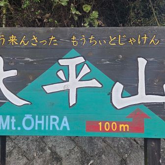 山頂まで舗装路が整備されており、車で直接登ることができます🚗