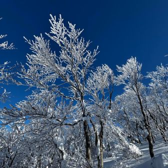 めっちゃ綺麗やーー✨🤩