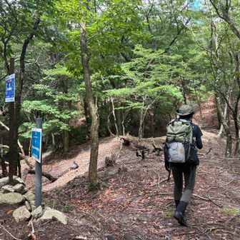 二子山尾根はバリルート😣
遭難多発とか…😱