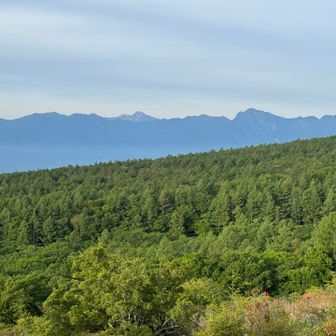 鳳凰に白峰、甲斐駒鋸の並び