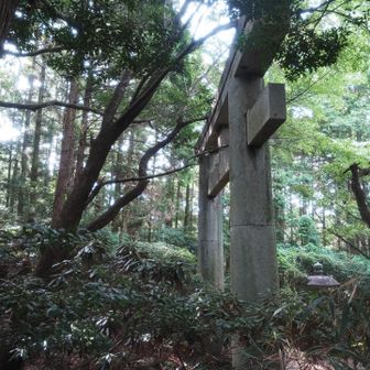 一の鳥居、横から