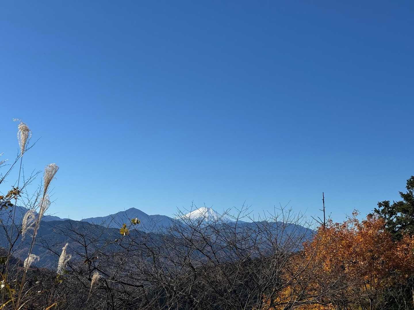 與瀬神社-與瀬神社登り口-孫山-吉野矢ノ音-明王峠-底沢峠 縦走コースの写真