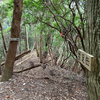 蟹足岳行きと山の神行きの分岐