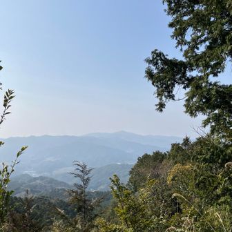 脊振山が見えた
きょうはここ糠塚山で折り返し