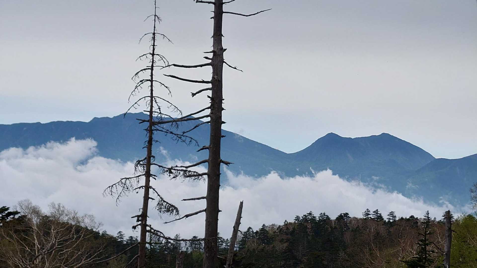 高原山