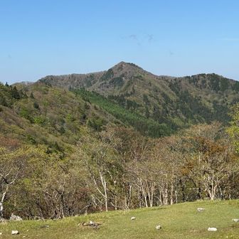 薊岳かな