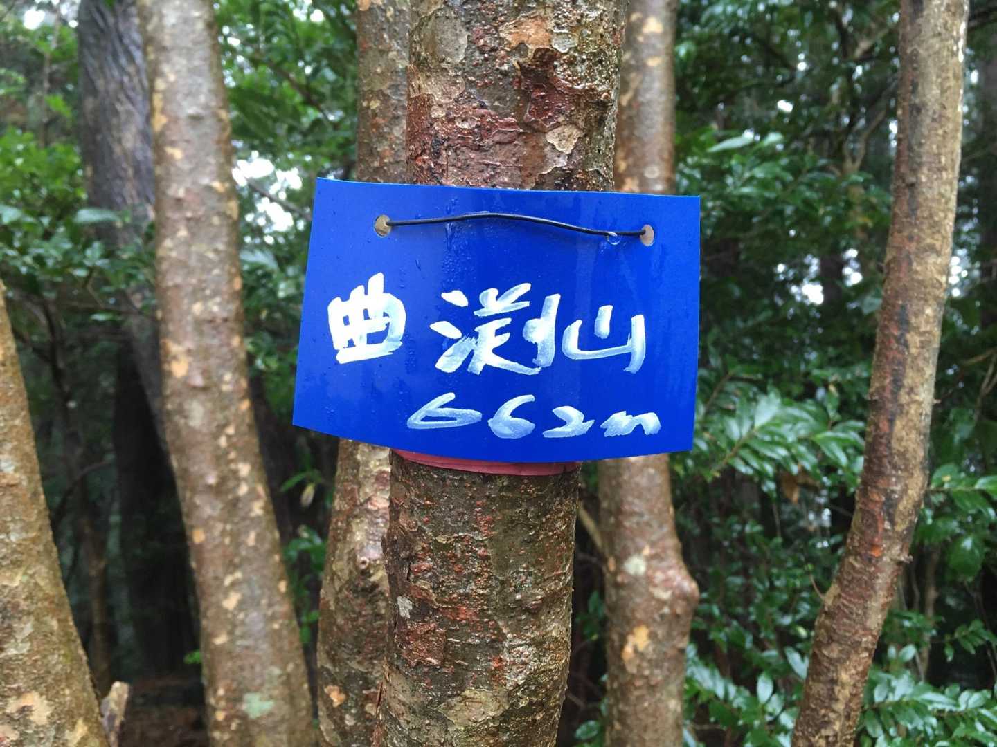 山頂