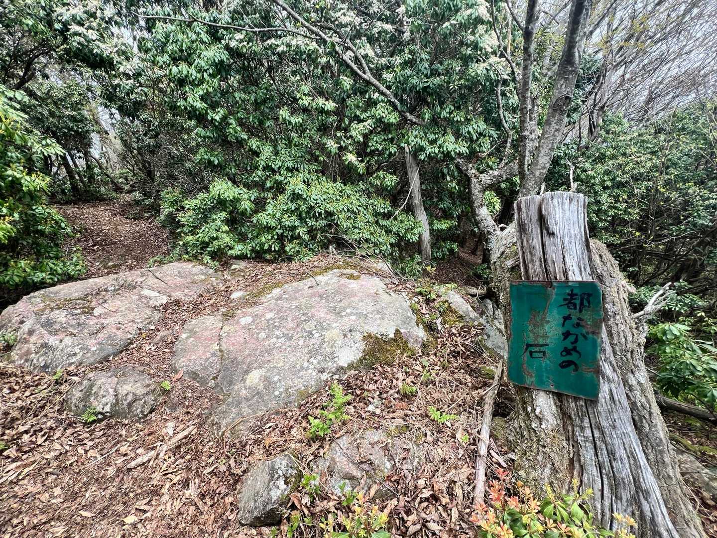 都眺めの石
乗ってみたが全然見えなかった