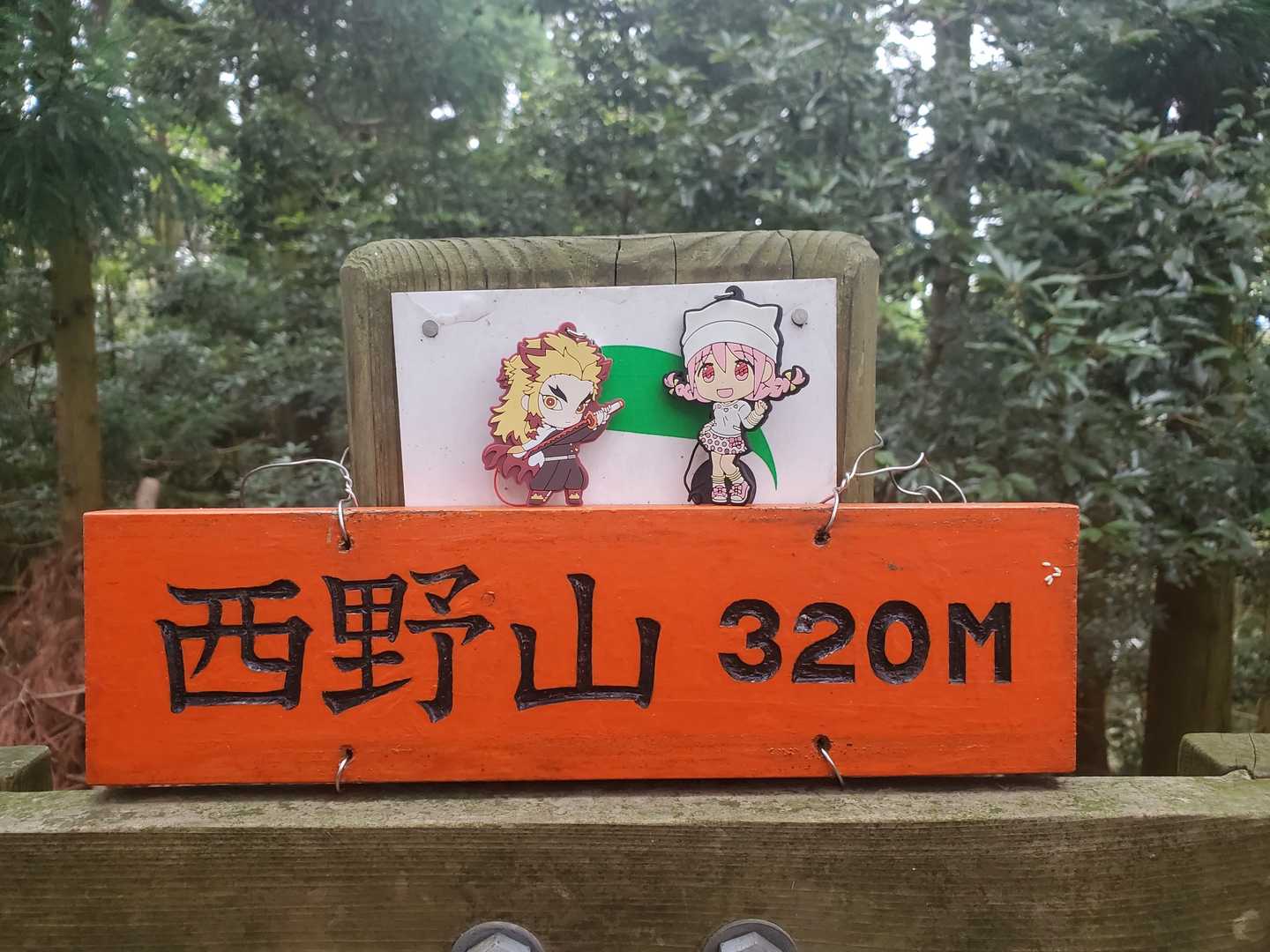 西野山到着！