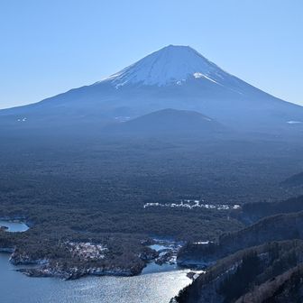 大室山（？）が富士山に抱っこされているように見えますね。
この景色は『抱き富士』というそうです。
後でパノラマ台でお会いした男性に教えていただきました。
