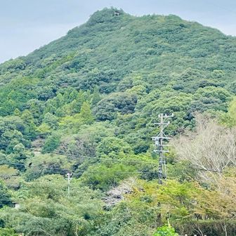 頂上の鳥居を目指して登っていきます💪
この鳥居⛩️海上からも良く見える👀