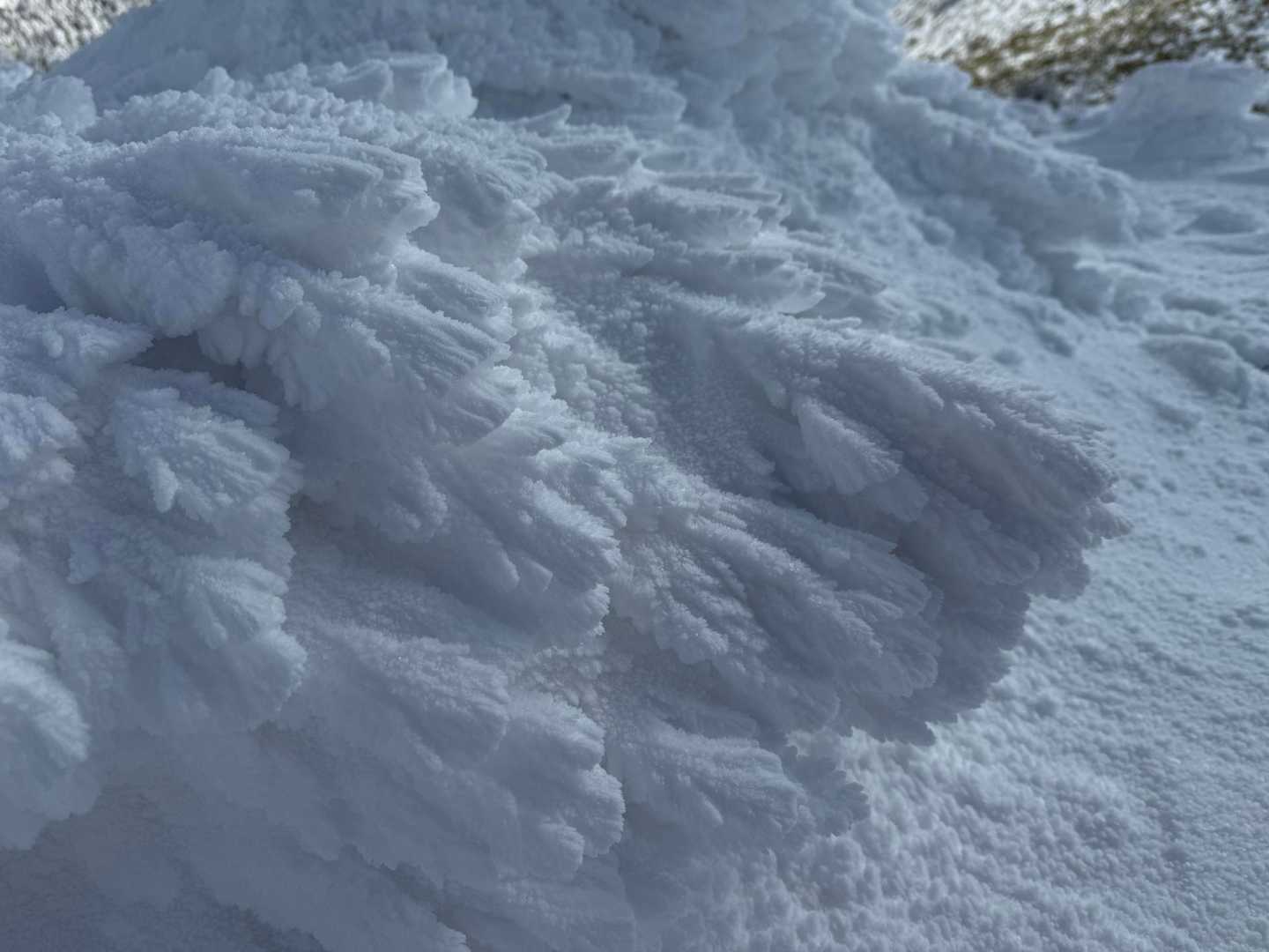 Snow Magic