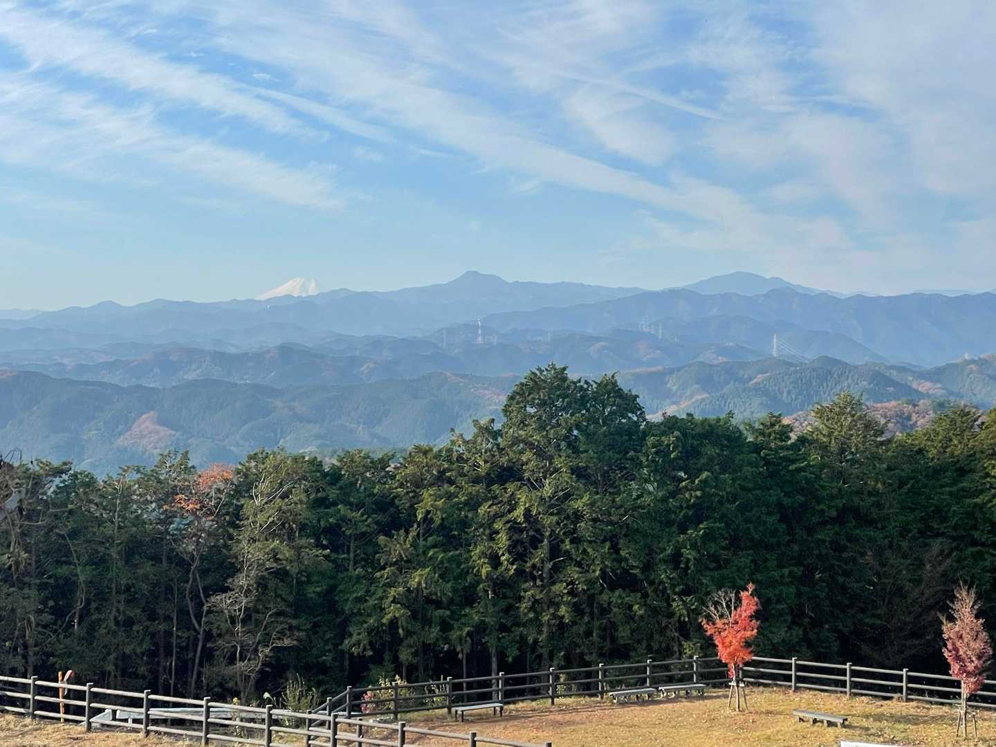 一度ぐぐっと下ってしばらく行くと、眺めのいい高指山に到着✋️
