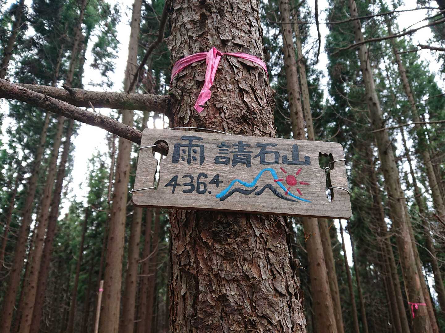 到着🥵
かわいい🥰プレート