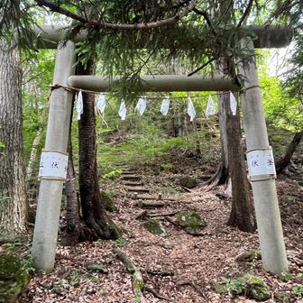 鳥居をくぐり、目の前の階段を登ると