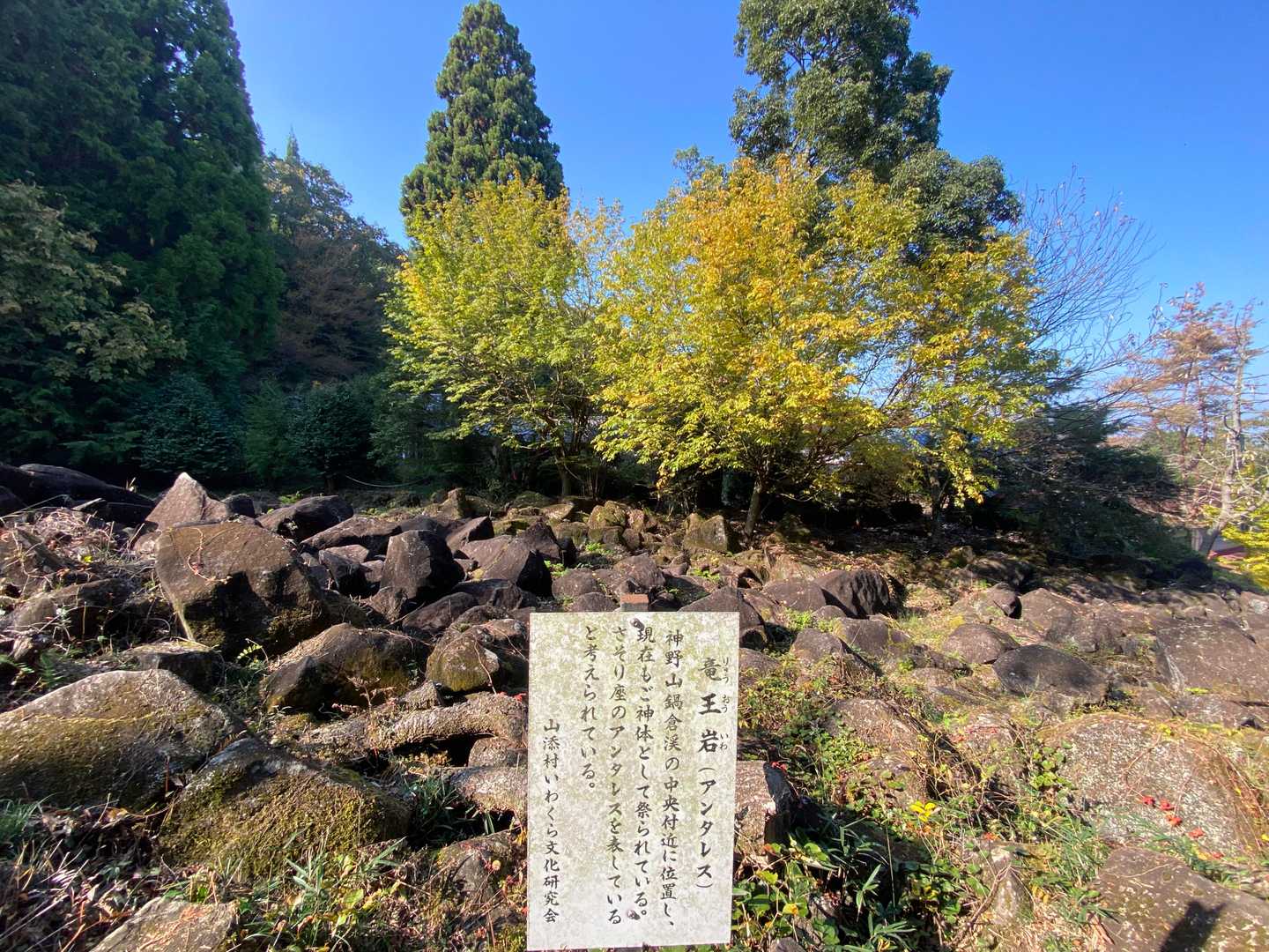 天の川コース入口-神野山 往復コースの写真