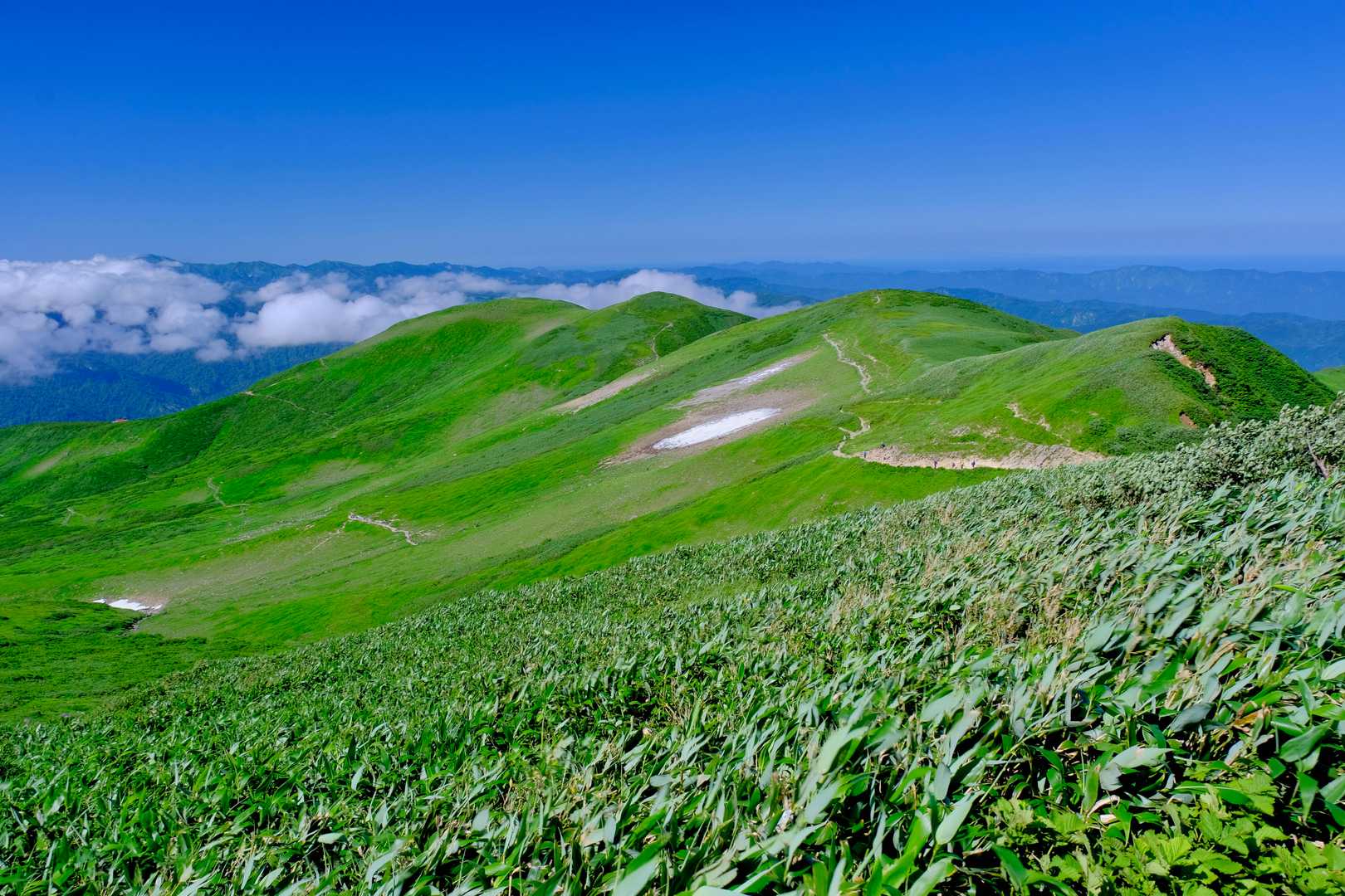 何度も振り返る。このThe月山的風景。