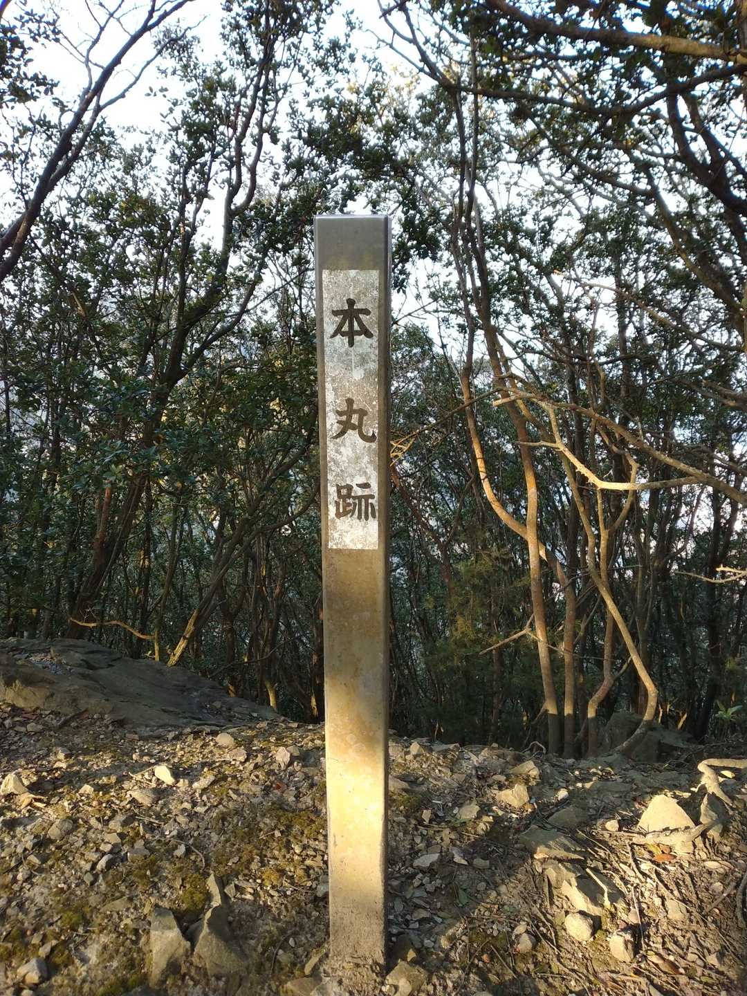 天霧山です。
中世の山城です。城としての縄張りも広く長宗我部元親軍に囲まれても落城しませんでした。