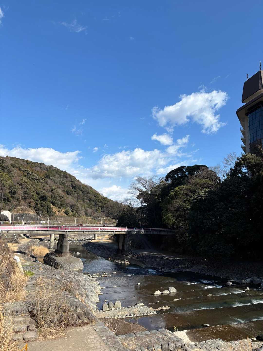 今日は途中までこの須雲川に沿って上流まで歩きます