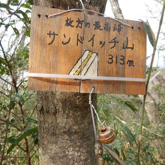 枚方市の最高峰だそうです
