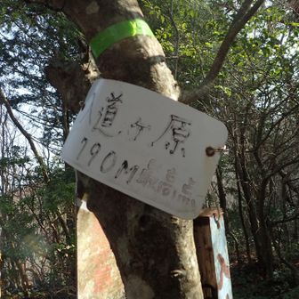 3座目  ここから次がちと長い