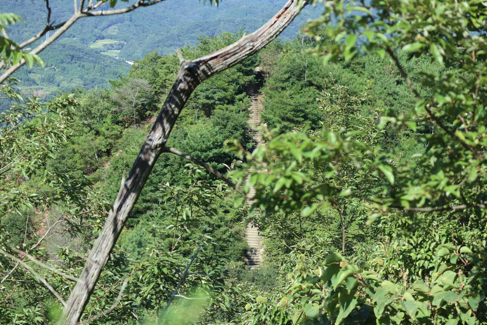 向こうに見えるのが笠松山への階段