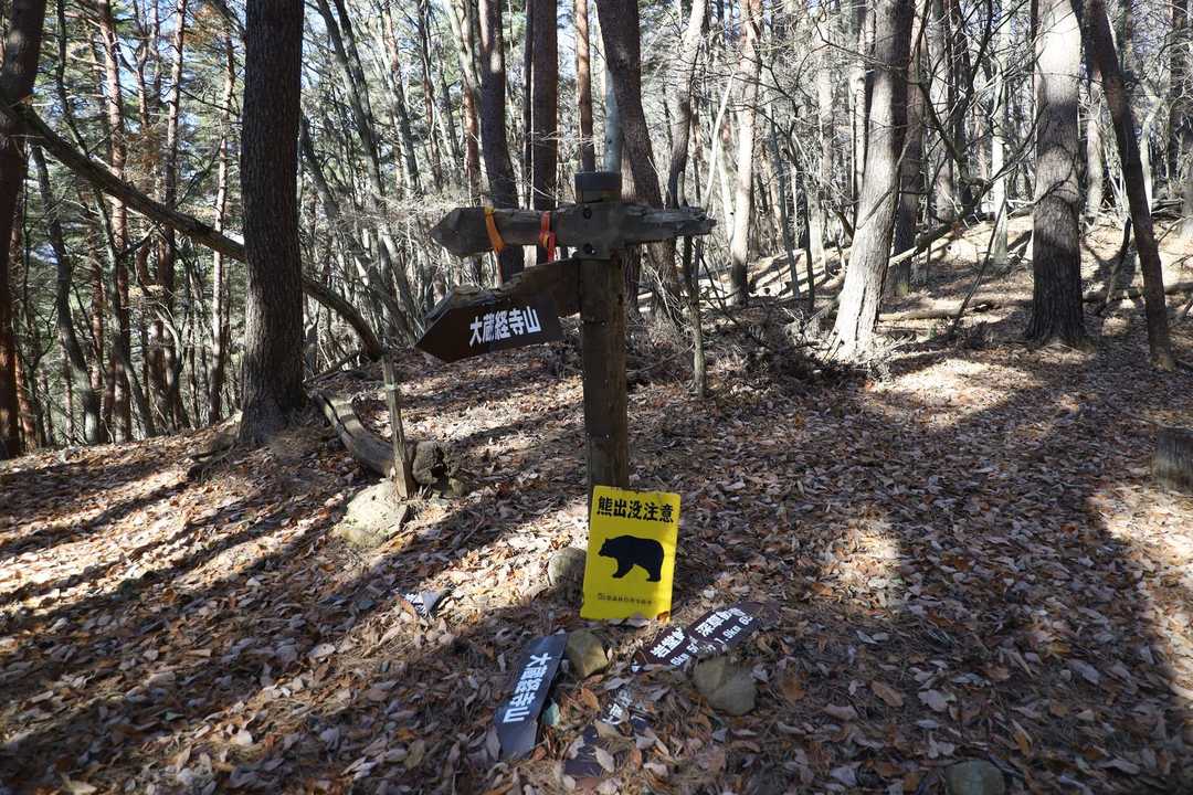 鹿穴南鞍部
ぼろぼろの道標
クマの仕業？