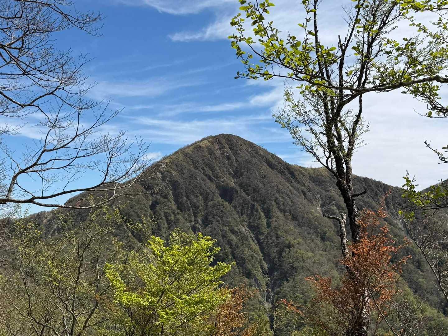 白ヶ岳からは目指す蛭ヶ岳がよく見える。