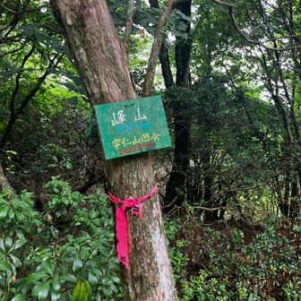 隠れたところにピークの看板
注意深く探さないと普通に通り過ぎてしまう😅