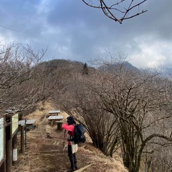 外に出ると、テーブルいっぱい