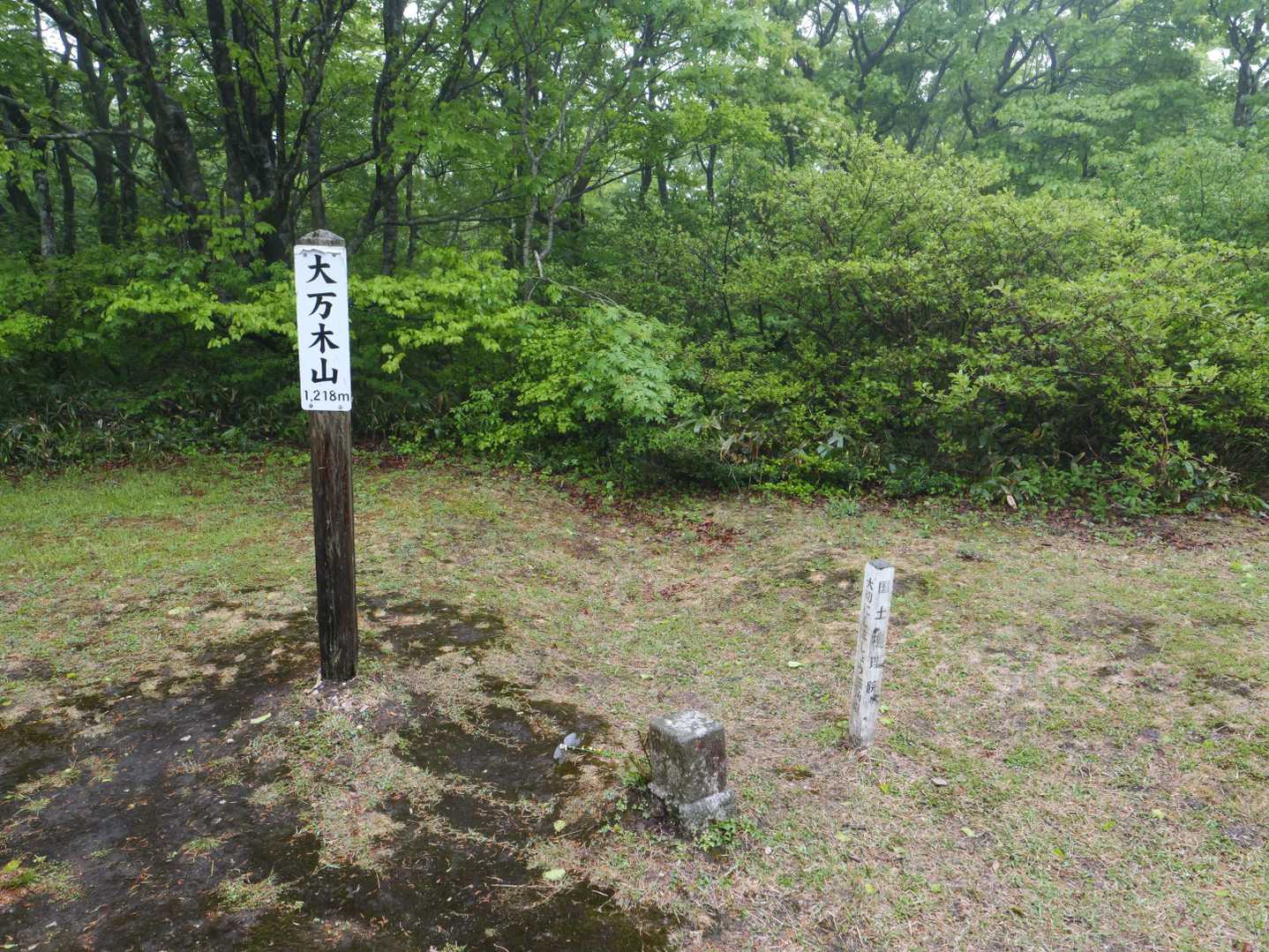 大万木山 往復コースの写真