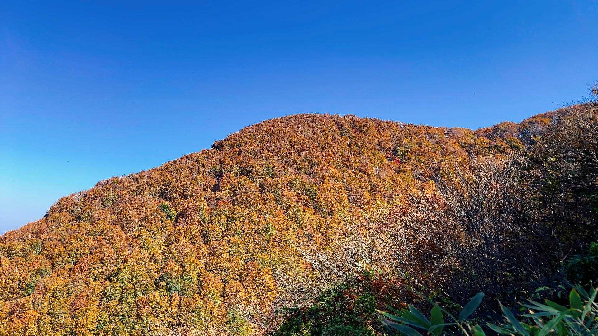 下山途中に赤く染まる前山