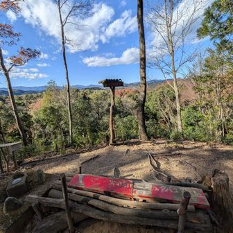 展望ポイント着